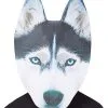 Spirit Halloween Big Head Foam Husky Half Mask 1 Spirit Halloween Big Head Foam Husky Half Mask -Easy Costumes Sales 01346493 a