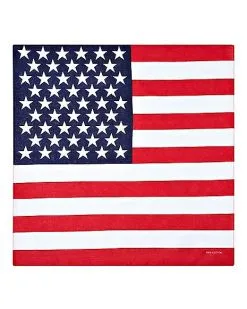 Spirit Halloween Americana Bandana