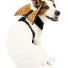 Spirit Halloween Orange Web Wings Pet Harness -Easy Costumes Sales 07466394 a